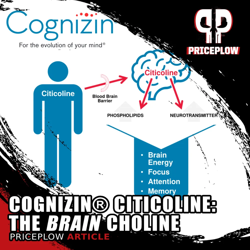 Cognizin Citicoline